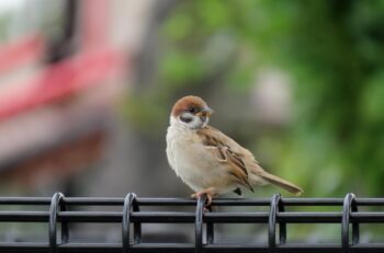 中小企業が知っておくべき“退職・離職”の兆しと対応策 ― 若手・中堅社員の離職意向を防ぐ３つのポイント